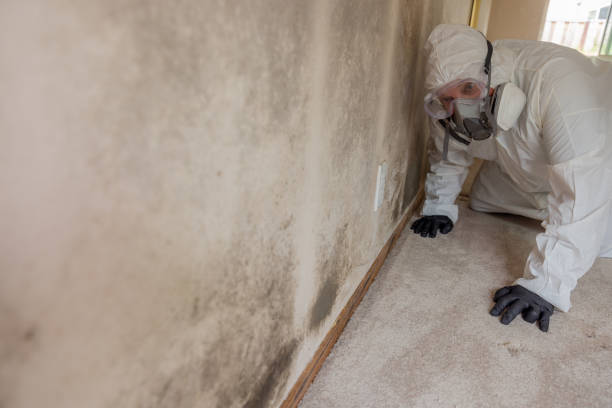  Lordstown, OH Mold Inspection Pros